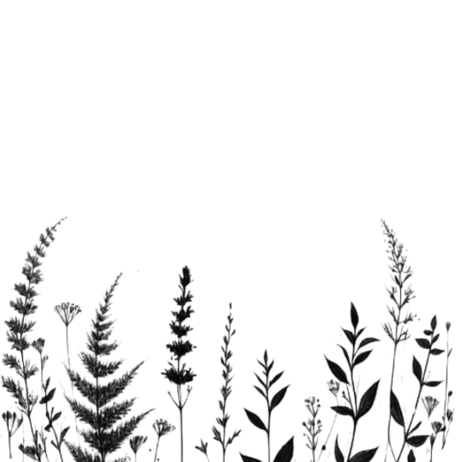 Logo mit Wildwuchs, Pflanzen, gerade