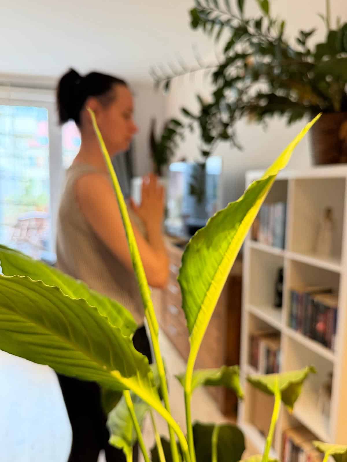 Kontakt. Wild Gewachsenes Yoga and meditation. Fragen zu Hatha Yoga online