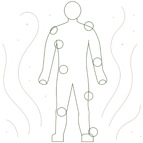 Illustration einer menschlichen Figur mit markierten Muskelgruppen und entspannenden Linien